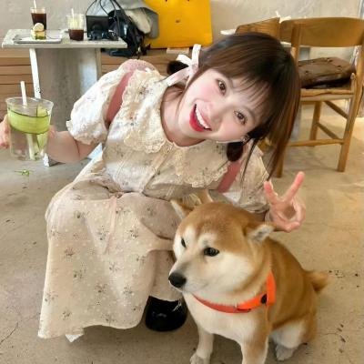 野兔子普查